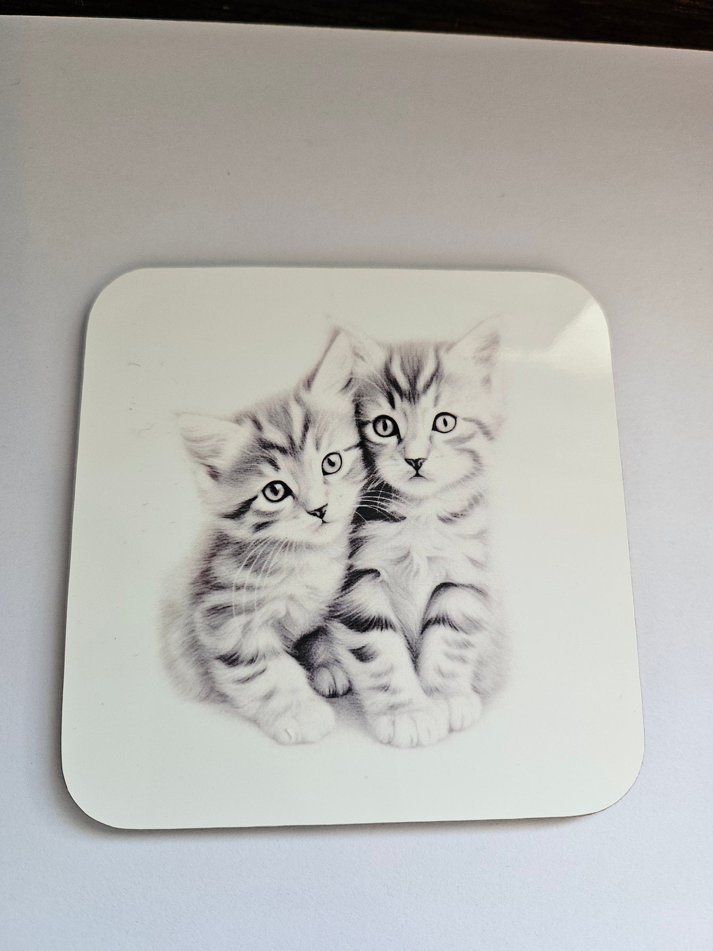 Twin Kittens Coaster