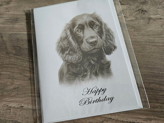 Spaniel Happy Birthday Greeting Card
